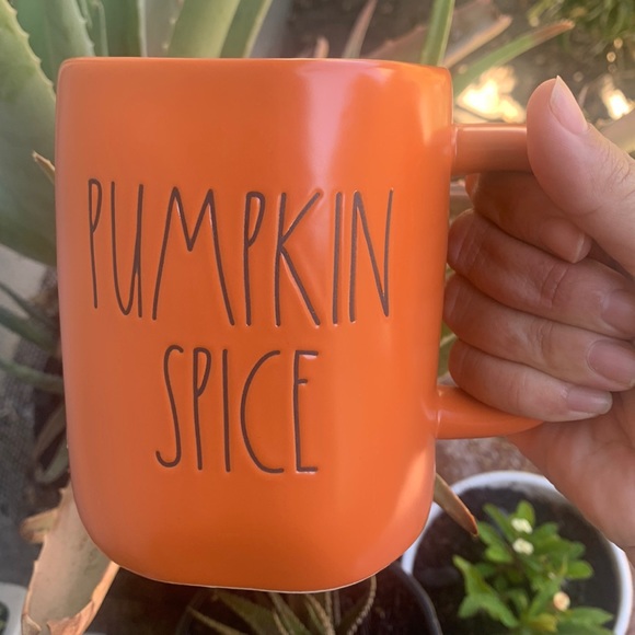 Rae Dunn Kitchen Rae Dunn Mug Orange Pumpkin Spice Poshmark